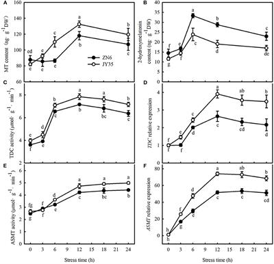 Nitric Oxide Functions as a Downstream Signal for Melatonin-Induced Cold Tolerance in Cucumber Seedlings